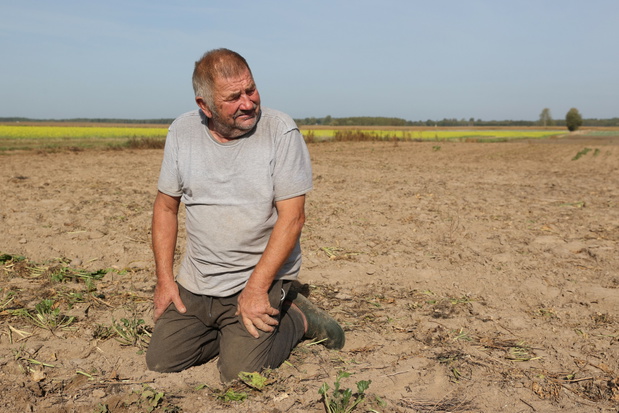 Gienek z Plutycz Rolnicy. Podlasie
