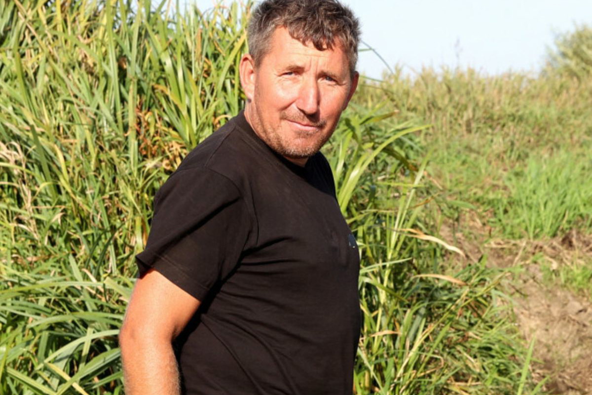 Andrzej z Plutycz