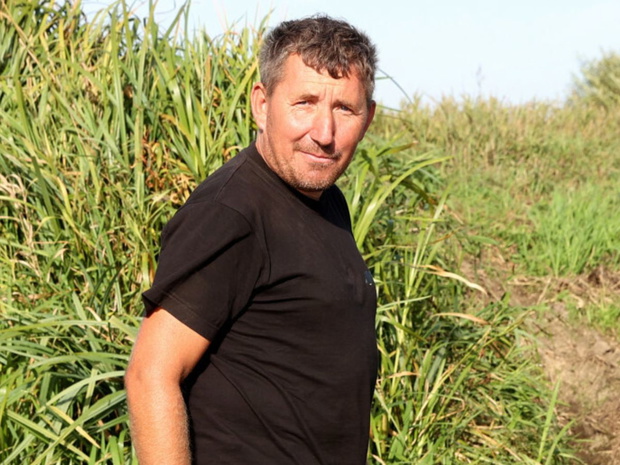 Andrzej z Plutycz