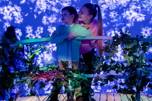 Wystawa „Immersive Monet & The Impressionists”