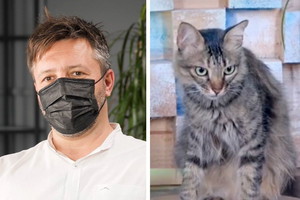 Hotel Paradise: Co się stało z Kisielem?