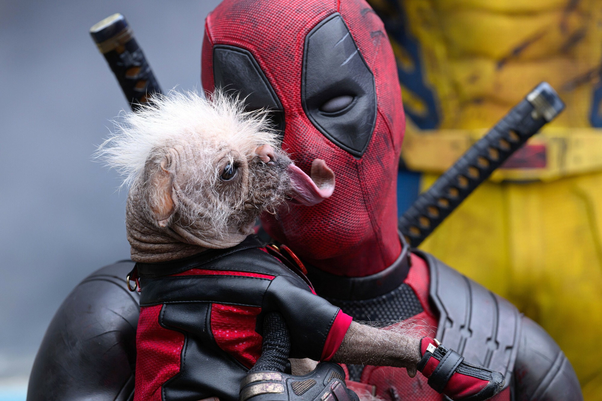 Deadpool &amp; Wolverine