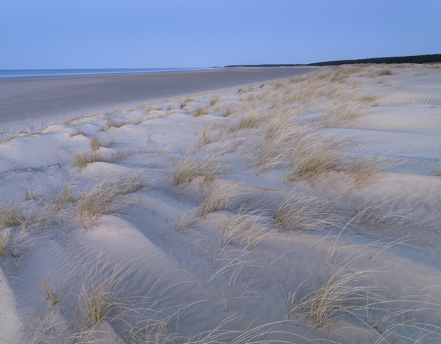 Plaża Holkham w Nortfolk