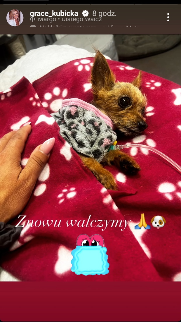 Piesek mamy Sandra Kubickiej