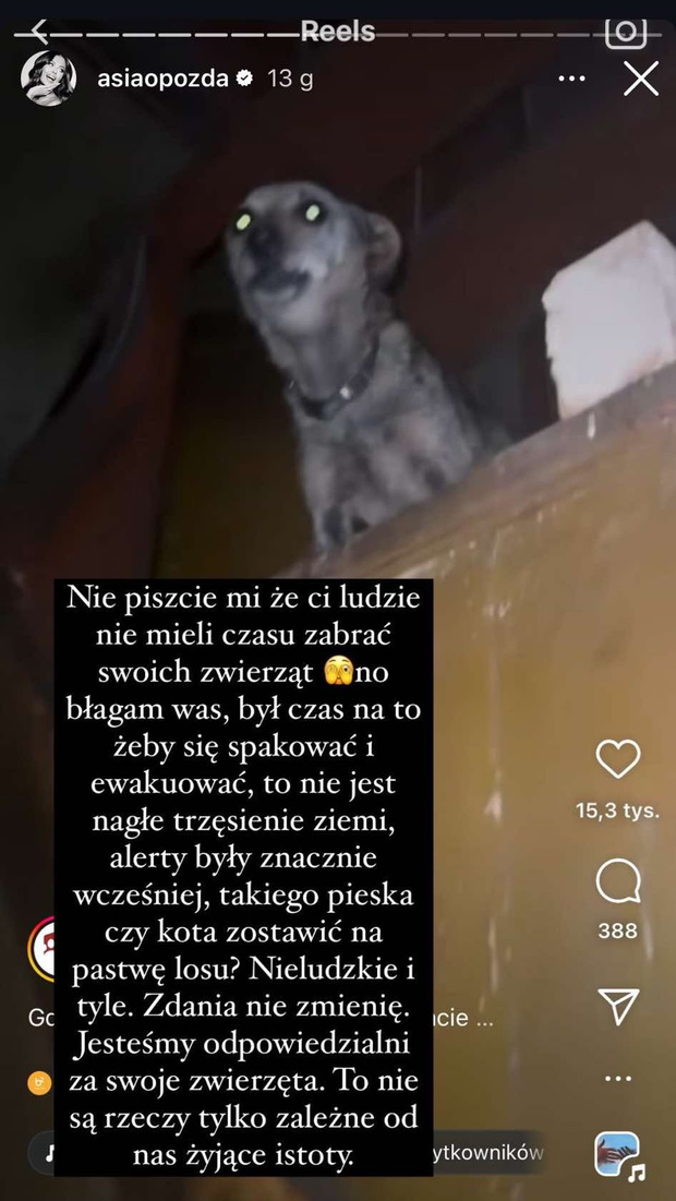Joanna Opozda zareagowała na dramat zwierząt podczas powodzi