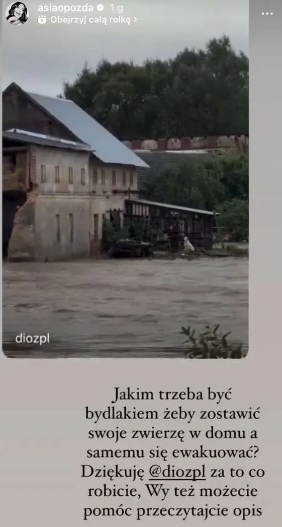 Joanna Opozda zareagowała na dramat zwierząt podczas powodzi
