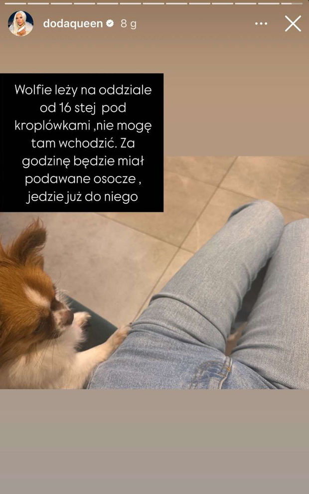 Doda przekazała informacje ws. stanu zdrowia swojego psa