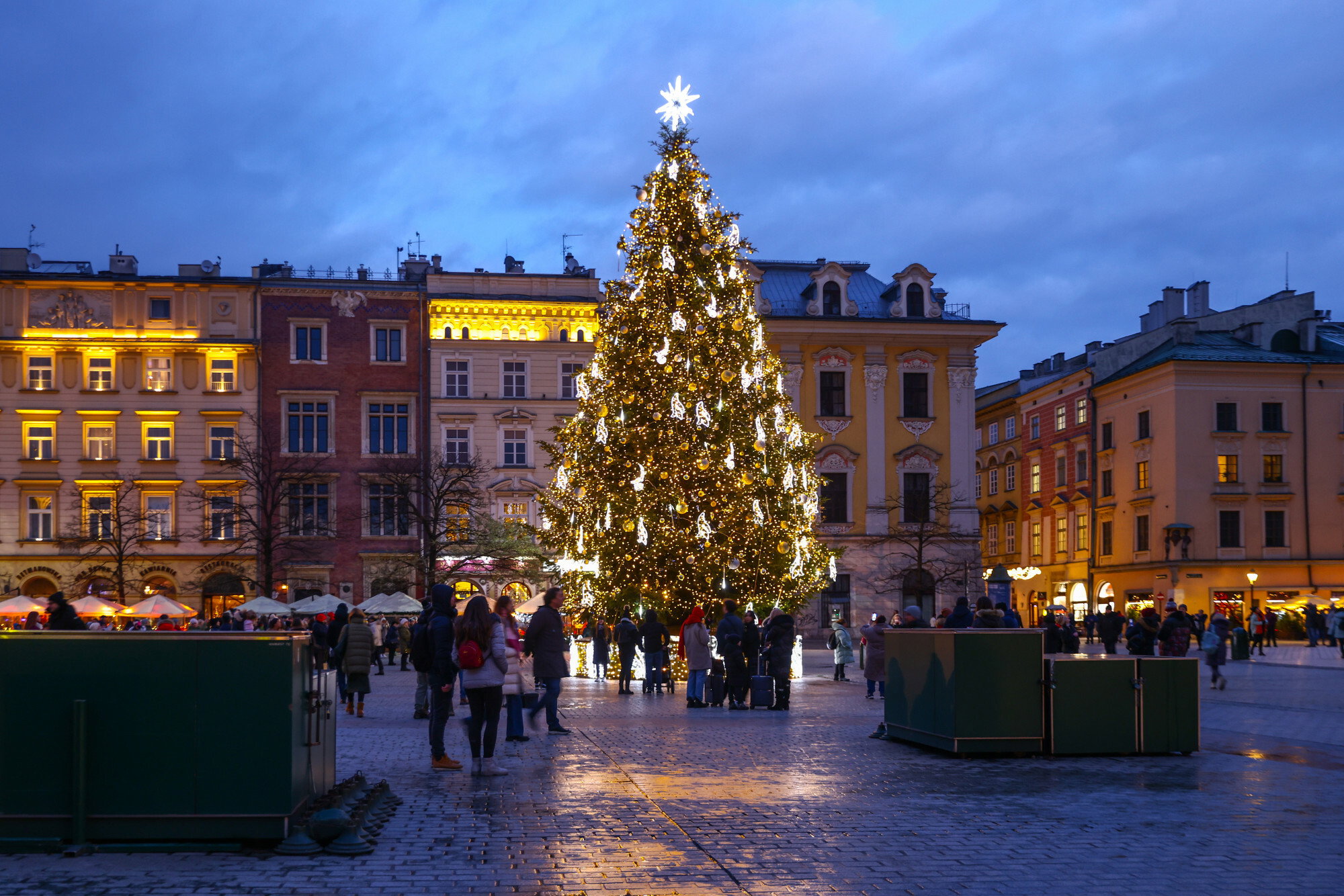 Wybrano najpiękniejszą choinkę na świecie. Jest w Polsce!