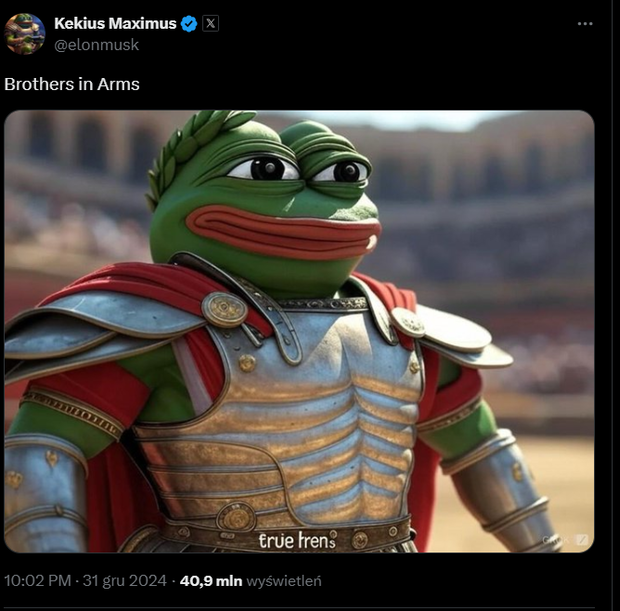 profil na X Elona Muska