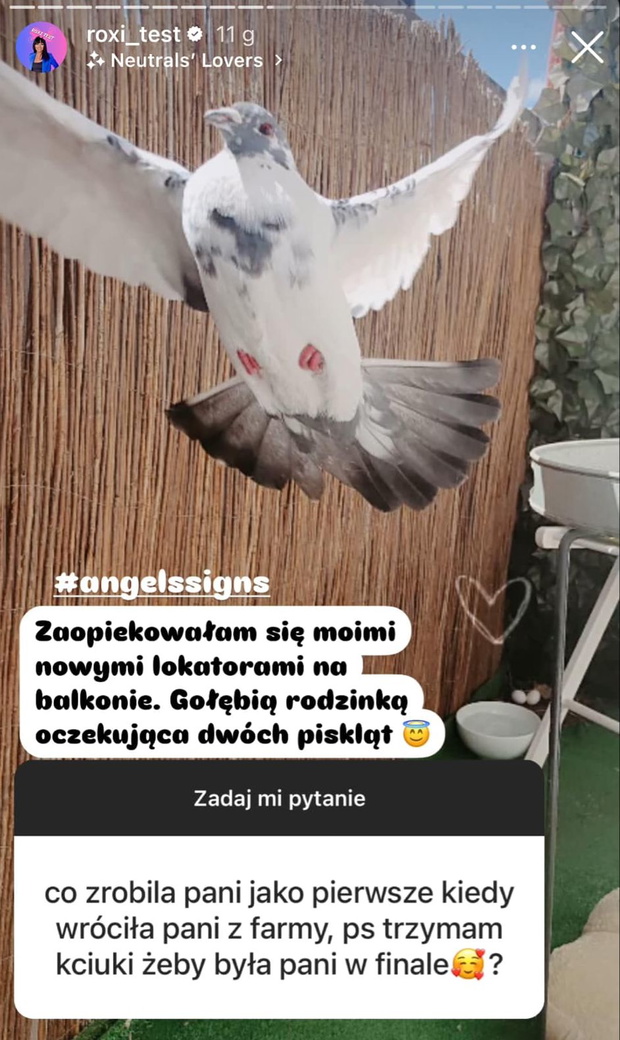 Danka zdradziła, co robiła po wyjściu z Farmy