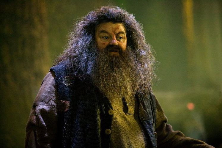 Hagrid
