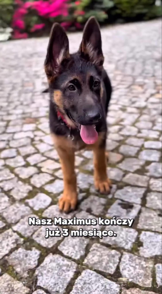 Katarzyna Cichopek i Maciej Kurzajewski nie kryją radości