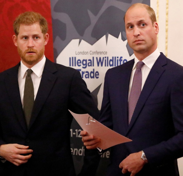 Książę Harry i Książę William skłóceni