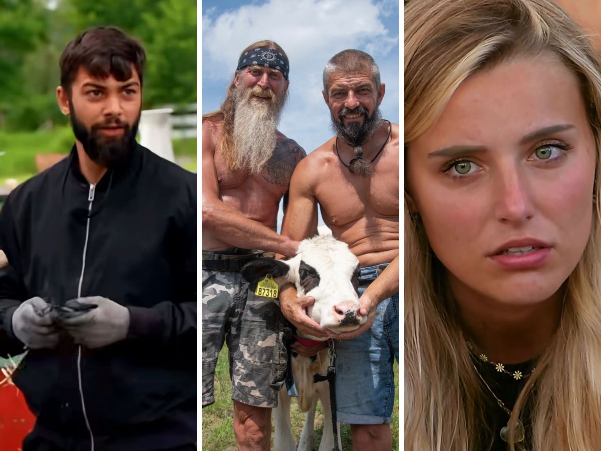 Fani "Farmy" już wiedzą, kto odpadnie z show?