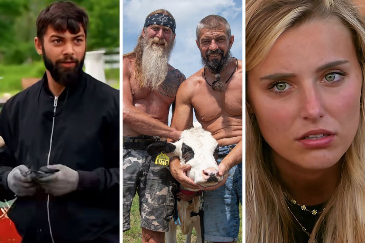 Fani "Farmy" już wiedzą, kto odpadnie z show?