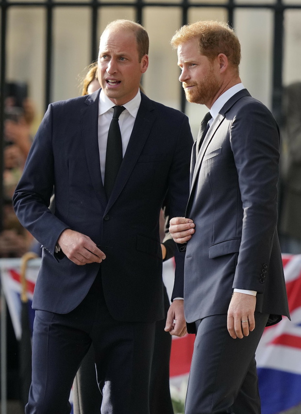 Ksi???ta William i Harry z ?onami pod zamkiem Windsor