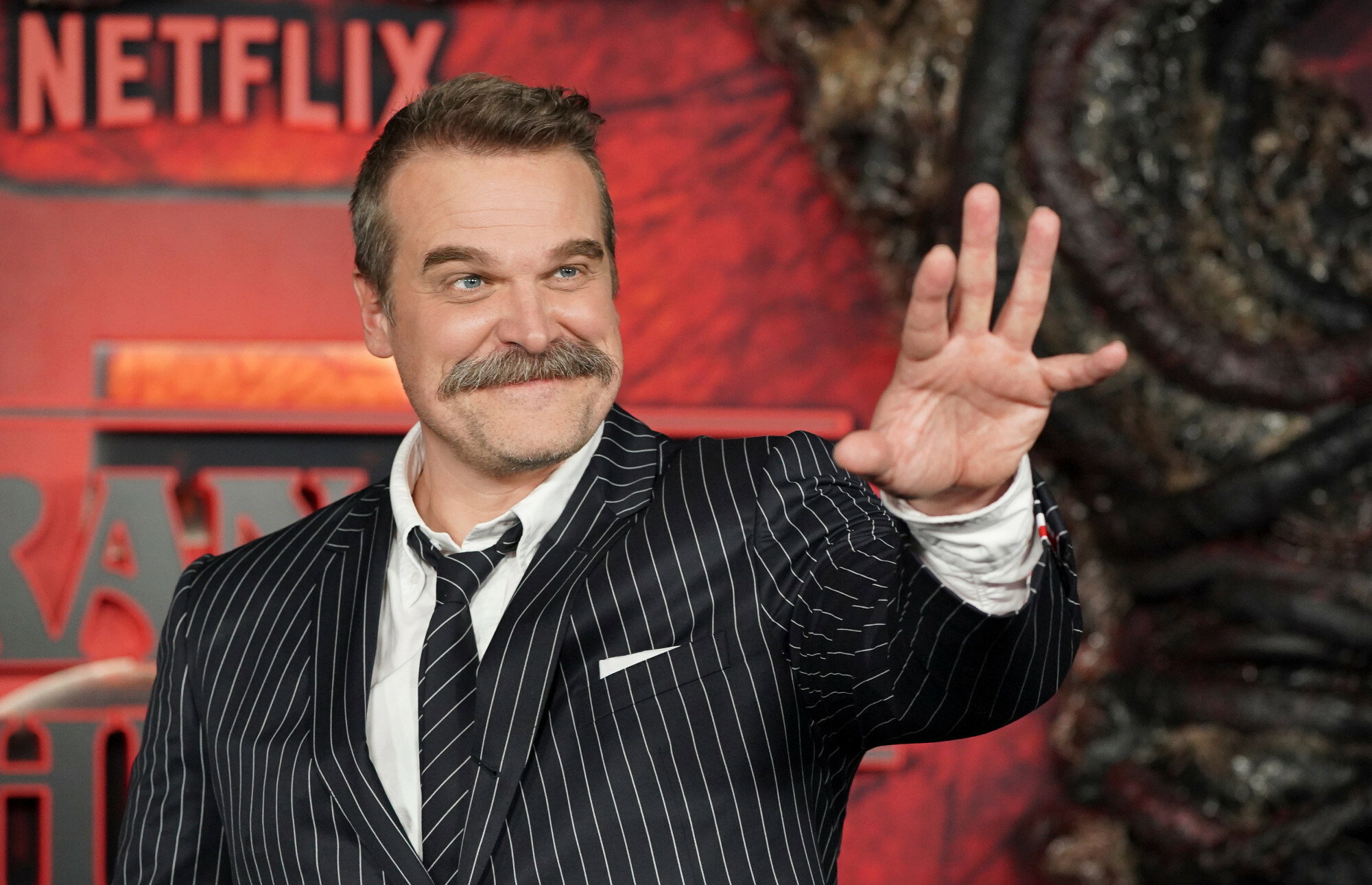 Szczere wyznanie gwiazdora "Stranger Things". Uratował go kot