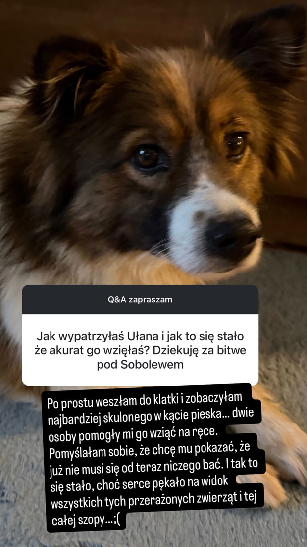 SnapInsta.to_621457375_18128545054524207_2109038745053029492_n