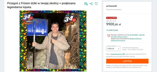 Licytacja Friza na allegro