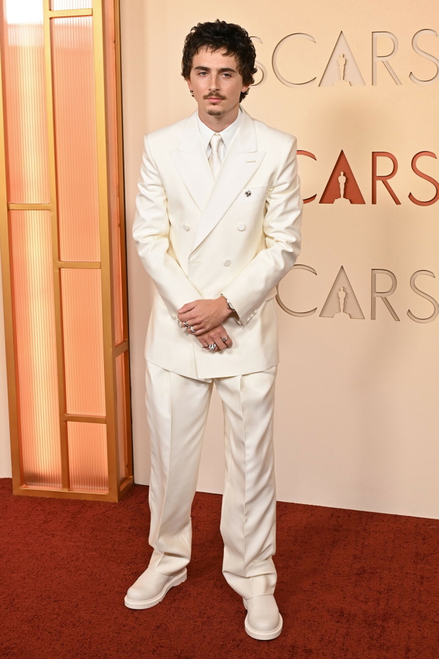 Timothee Chalamet Oscary 2026