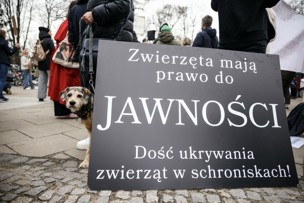 Protest ws. zwierząt w Warszawie, marzec 2026