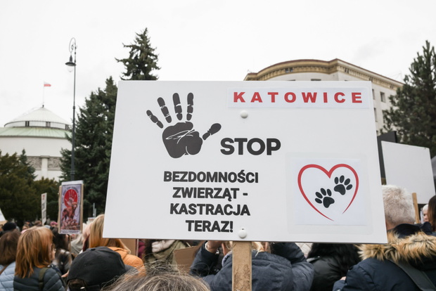Protest ws. zwierząt w Warszawie, marzec 2026