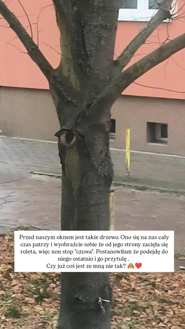 Poruszające wyznanie Anity ze "ŚOPW". Poczuła, że musiała to zrobić