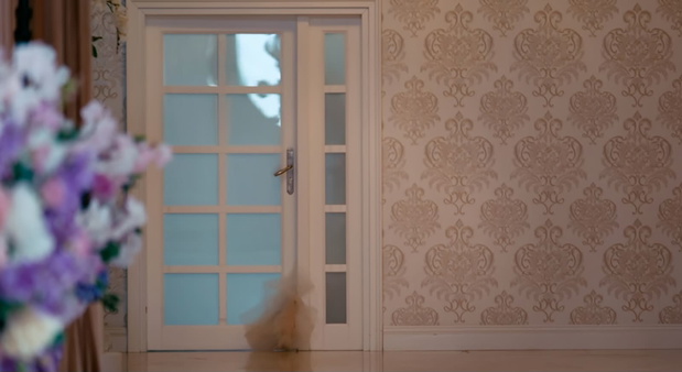 Finał "Love is blind": Dramatyczna scena przed ślubem