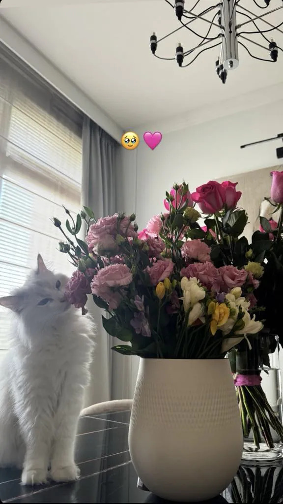 Tak mieszka Roksana Węgiel i Kevin Mglej. Uwili sobie ciepłe gniazdko
