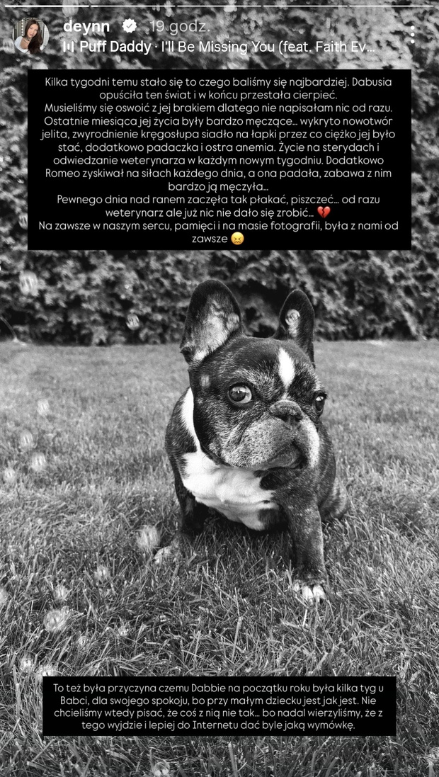 Deynn pożegnała ukochanego psa
