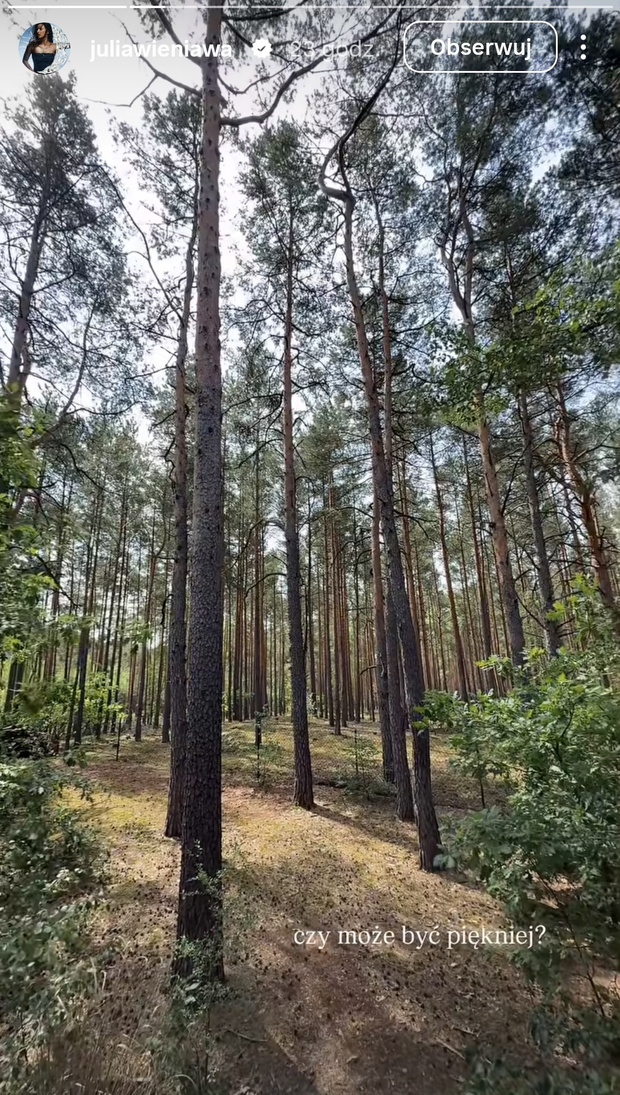 Julia Wieniawa pokazała domek w środku lasu