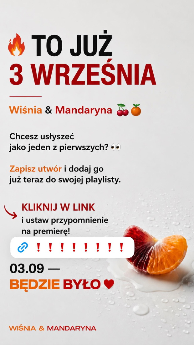Michał Wiśniewski i Mandaryna, wspólna piosenka