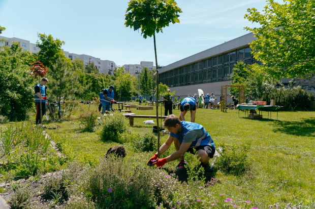 POCKET PARKS 2