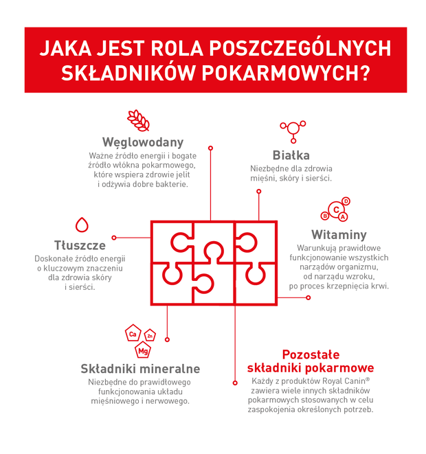 Wyjdź z neta, idź do weta 2