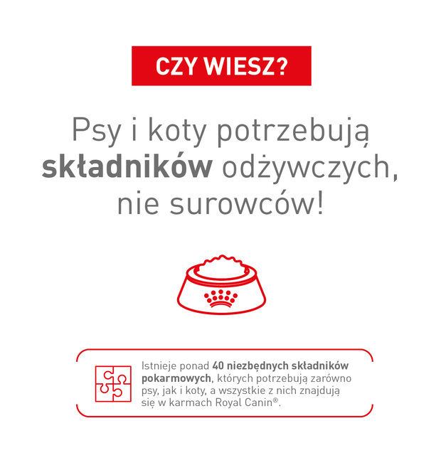 Wyjdź z neta, idź do weta 3