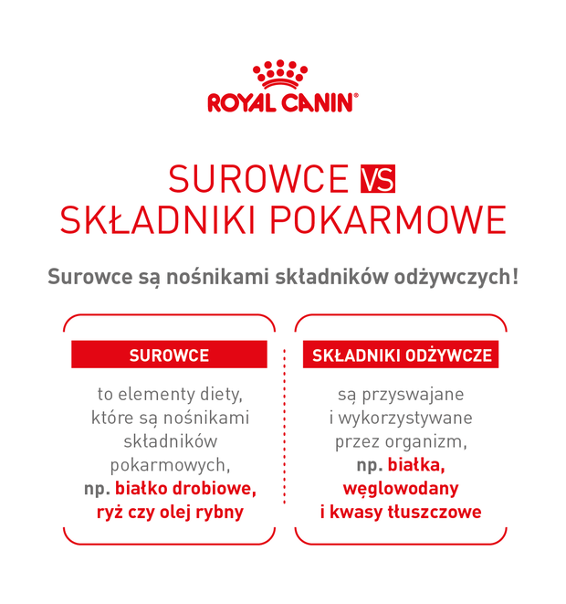 Wyjdź z neta, idź do weta 1