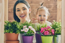 Fotolia_102478560_Subscription_XXL