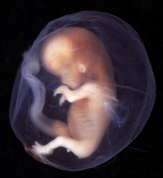 Biuro prasowe Diagnostyka