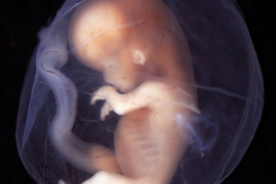 Biuro prasowe Diagnostyka