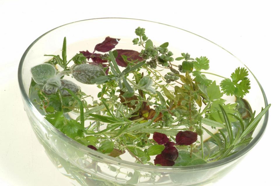 Terapia naturalna