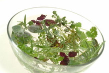 Terapia naturalna