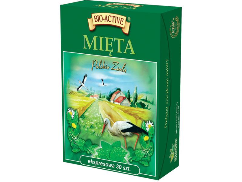 Mięta