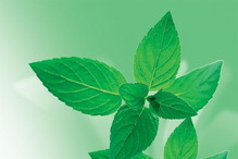 nicorette