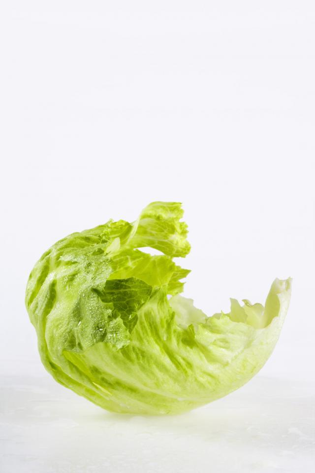 sałata