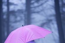 deszcz, pogoda, pada, parasol