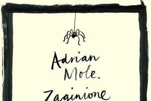 Zaginione dzienniki 1999-2001