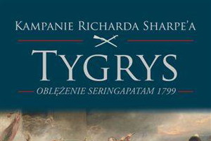 Tygrys