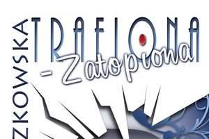 Trafiona zatopiona