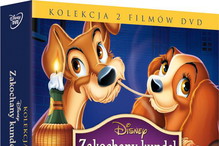 Bajka na DVD Zakochany kundel