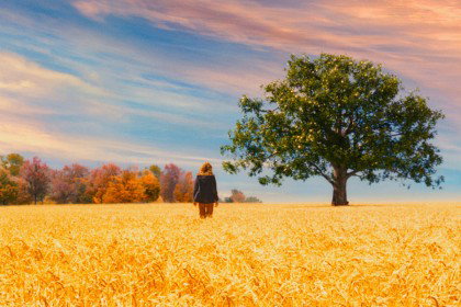 "Nostalgia anioła" - We-Dwoje.pl recenzuje